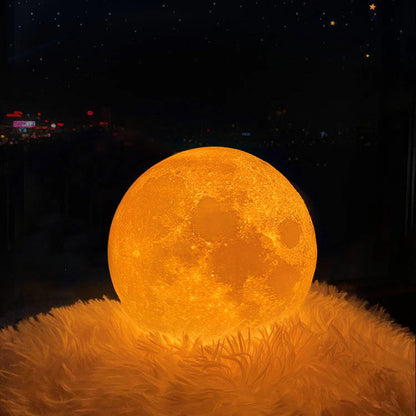 Moonlight Table Lamp